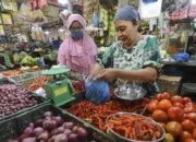 Harga Bawang Merah dan Ayam Ras Turun