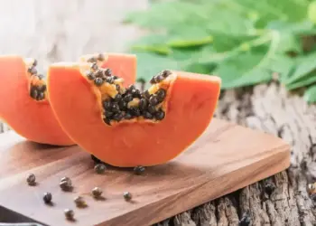 Biji pepaya. (dok. istimewa)
