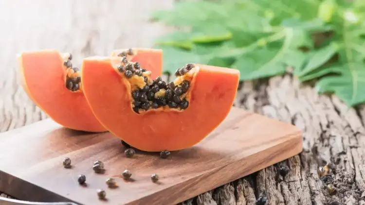 Biji pepaya. (dok. istimewa)