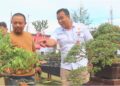 Mario Otomosi Zebua, Ketua Panitia Perayaan Hari Ulang Tahun Kota Gunungsitoli ke-347 Tahun 2025 menjelaskan beberapa detail terkait tanaman Bonsai kepada pengunjung Alun-Alun Kota Gunungsitoli, Sumatera Utara. (dok. Radarsumbar.com/Putra Tanhar)