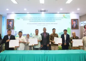 Diskusi PLN terkait hilirisasi perkebunan dan pertanian. (dok. Humas)