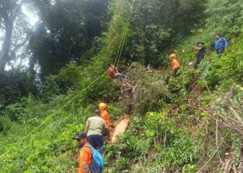 Tim SAR Evakuasi Orang Terjepit Saat Tebang Pohon di Gunung Pangilun 11 Evakuasi orang terjepit pohon di Gunung Pangilun. (dok. Basarnas Padang)