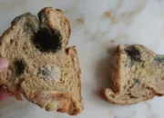 Berapa Lama Roti Kemasan Tahan dari Jamur dan Pembusukan?