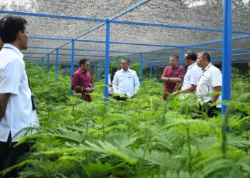 Kolaborasi hijau PT Semen Padang dengan PNPP melalui penanaman kaliandra. (dok. istimewa)