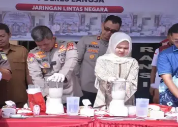 Perputaran Narkoba Capai Rp524 Triliun per Tahun, BNN Genjot Strategi Hadapi Ancaman