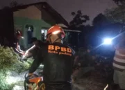 Dua Rumah di Padang Tertimpa Pohon Akibat Hujan dan Angin Kencang