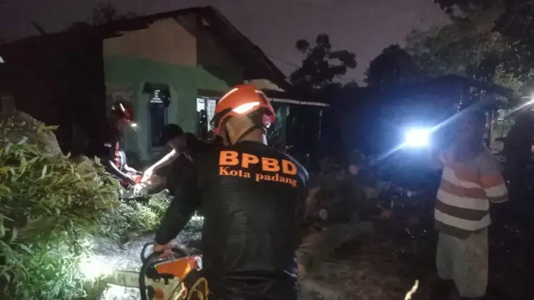 Personil BPBD Kota Padang membersihkan material pohon tumbang. (dok. BPBD Padang)