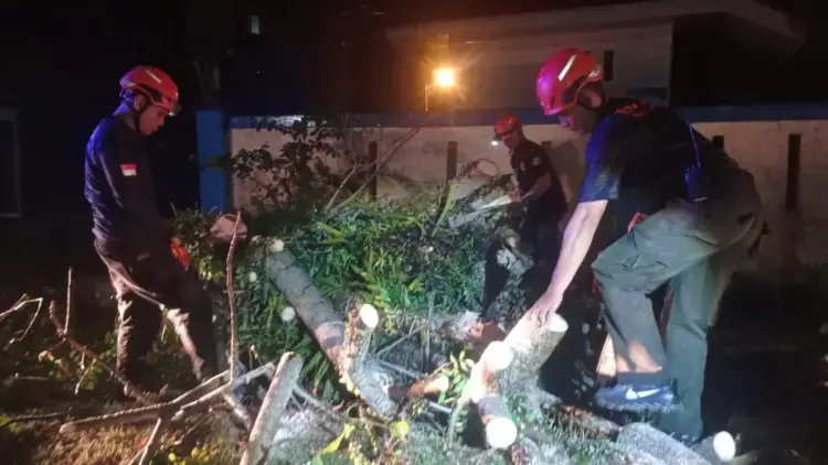 Personil BPBD Padang bersihkan material pohon tumbang. (dok. BPBD Padang)