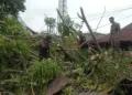 Personil BPBD Padang bersihkan material pohon tumbang di kawasan Simpang Haru. (dok. istimewa)