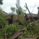 Personil BPBD Padang bersihkan material pohon tumbang di kawasan Simpang Haru. (dok. istimewa)