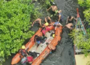 Pencarian Korban Buaya di Pasbar Berakhir dengan Temuan Potongan Kaki