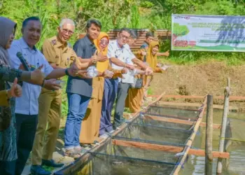 Ujicoba pemberian umpan maggot program TJSL PT. Semen Padang. (dok. Humas)