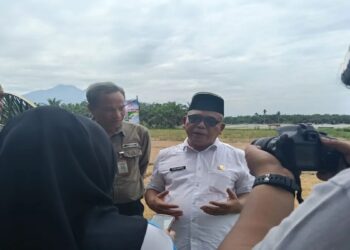 Pemkab Pasaman Barat Targetkan Luas Tanam Padi 20.000 Ha, Sawah Dilarang Dialihfungsikan