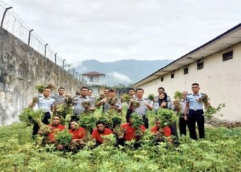 Rutan Lubuk Sikaping Panen 120 Kg Kacang Tanah, Hasilkan Produk UMKM Khas