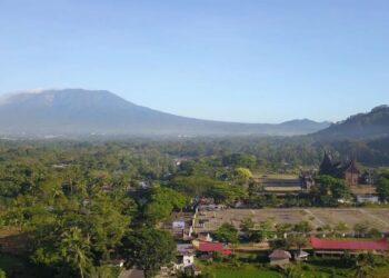 Lima Nagari di Tanah Datar Masuk Zona Bahaya Narkoba