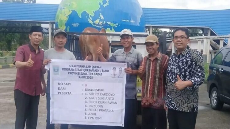 Pemprov Sumbar Salurkan 68 Sapi Kurban, 7 Ekor Dikirim untuk Warga Palestina 1 Penyerahan sapi kurban program Tebar Qurban di Kabupaten Pasaman, Sumatera Barat, Kamis (5/6/2025). ANTARA/HO-Humas Pemprov Sumbar