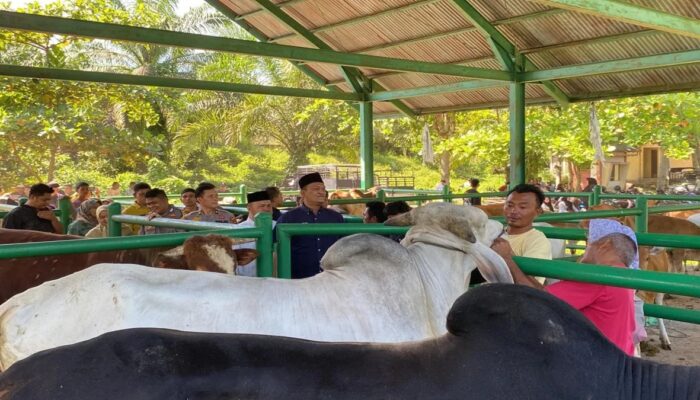 Polisi Imbau Warga Pasaman Barat Giatkan Ronda jelang Idul Adha, Antisipasi Pencurian Ternak