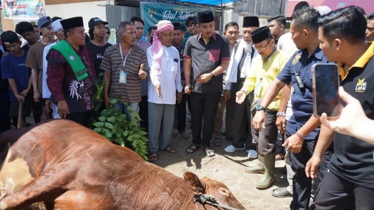 Wagub Sumbar, Vasko Ruseimy menyerahkan sapi kurban dari Presiden untuk Sumbar. (ANTARA/ist)