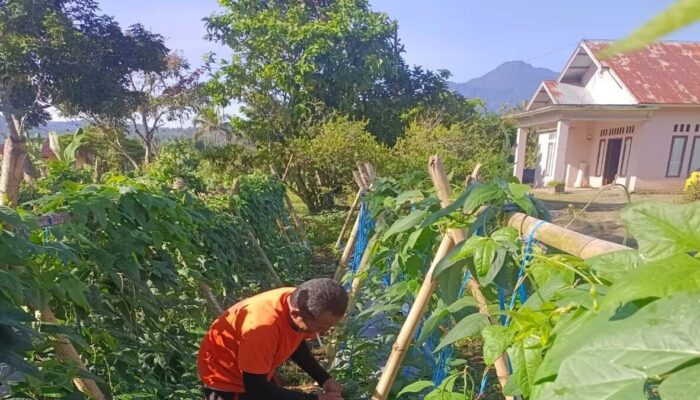 Dukung Ketahanan Pangan, Lapas Talu Pasaman Barat Tanam Sayur-Buah