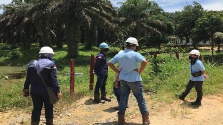 Petugas DLH Dharmasraya saat melakukan pengawasan lapangan di salah perusahaan PT Andalas Wahana Berjaya (PT AWB). Antara/HO-DLH Dharmasraya