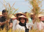 Titiek Soeharto Dorong Program Sawah Pokok Murah di Agam Diterapkan Nasional