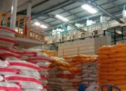 Pemerintah Fokus Perbaiki Manajemen Gudang Beras, Siapkan 100 Lokasi Baru