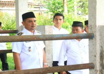 Wabup Pasaman Soroti Fasilitas Pembibitan Sapi Terlantar di Tigo Nagari