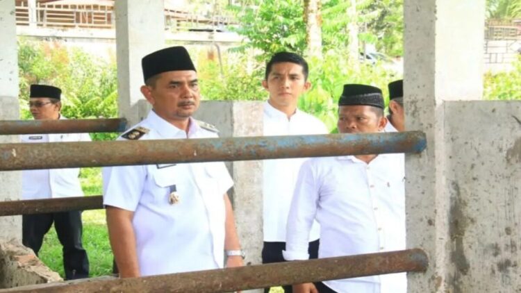 Wakil Bupati Pasaman, H. Parulian, saat kunjungan kerjanya di Kecamatan Tigo Nagari di Fasilitas Pembibitan Ternak Sapi modern di Kampung Rimbo Panjuik, Nagari Ladang Panjang, Rabu (4/6/2025).ANTARA/HO-Humas