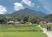 Cerita Nagari Diatas Awan yang Bikin Wisatawan Dunia Jatuh Cinta