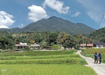 Nagari Sikabu-sikabu Tanjung Haro Padang Panjang. (dok. Radarsumbar.com)