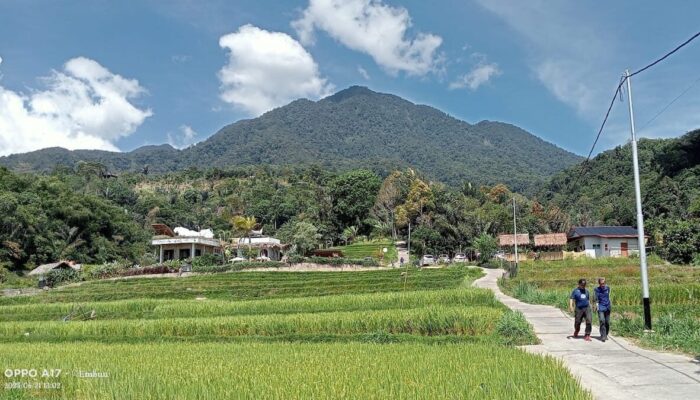 Cerita Nagari Diatas Awan yang Bikin Wisatawan Dunia Jatuh Cinta