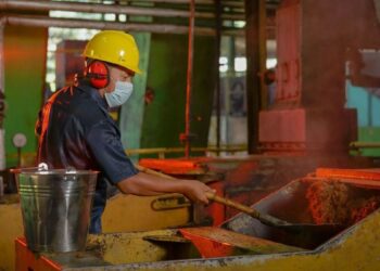 Seorang pekerja di PTPN IV PalmCo. (dok. istimewa)