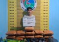 Tersangka WR (24) beserta 11 paket besar Ganja yang diringkus oleh Satres Narkoba usai diamankan ke Mako Polres Pasaman, Jumat (13/6/2025).(dok ANTARA/Heri Sumarno)