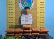 Pengedar Narkoba di Pasaman Diciduk, Polisi Amankan 11 Paket Besar Ganja