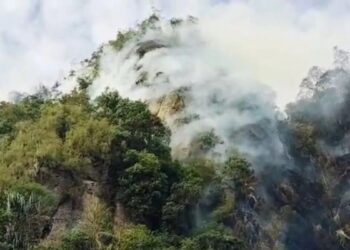 Kebakaran lahan di Harau, Kabupaten Limapuluh Kota. (dok. tangkapan layar)