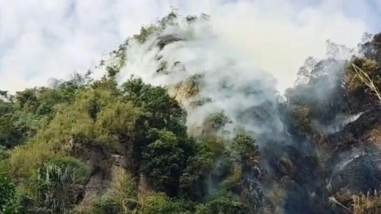Kebakaran Lahan Terjadi di Harau, Api Hampir Capai Puncak Bukit 1 Kebakaran lahan di Harau, Kabupaten Limapuluh Kota. (dok. tangkapan layar)