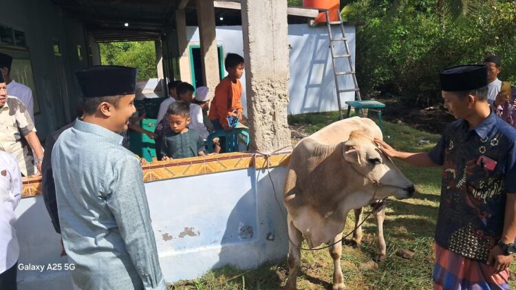 Wagub Sumbar Vasko Ruseimy serahkan sapi kurban di Sungai Nyalo, Kabupaten Pesisir Selatan. (dok. adpsb)
