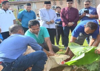 Wawako Maigus Nasir saksikan langsung penyembelihan hewan kurban di Balai Gadang. (dok. istimewa)