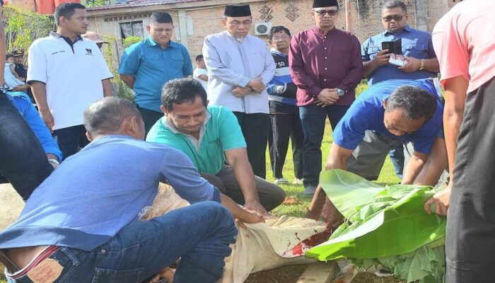 Wawako Maigus Nasir Saksikan Langsung Pemotongan Kurban di Kantor LPKS
