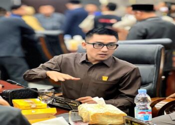 Dugaan Penolakan Pasien Berujung Meninggal, Ketua Komisi II DPRD Padang Desak Direktur RSUD Rasidin Dicopot