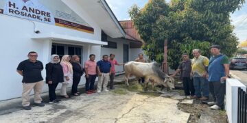 Andre Rosiade Sebar 80 Ekor Sapi Kurban di Sumbar, Masyarakat Sampaikan Apresiasi 7 Andre Rosiade Sebar 80 Ekor Sapi Kurban di Sumbar, Masyarakat Sampaikan Apresiasi