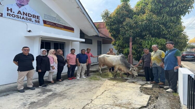 Andre Rosiade Sebar 80 Ekor Sapi Kurban di Sumbar, Masyarakat Sampaikan Apresiasi 1 Sapi kurban Andre Rosiade diserahkan secara simbolis kepada pengurus masjid dan mushalla di Kota Padang. (Foto: Dok. Radarsumbar)