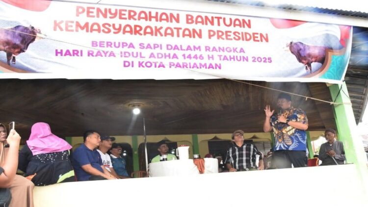 Wako Pariaman Yota Balad memantau penyembelihan sapi kurban bantuan dari Presiden Prabowo. (Foto: Dok. Ist)