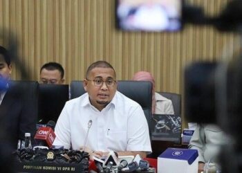 Andre Rosiade: Tepat Penyelesaian Masalah 4 Pulau Aceh-Sumut Diambil Alih Presiden