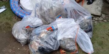 Satu Tahun Hilang Cika Ditemukan Terkubur, Ibu Meninggal Dunia saat Tahu Kabar Sang Anak 8 Satu Tahun Hilang Cika Ditemukan Terkubur, Ibu Meninggal Dunia saat Tahu Kabar Sang Anak