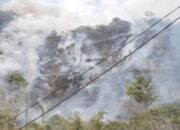 BMKG Pastikan Asap Karhutla Takkan Menganggu Sampai ke Negara Tetangga