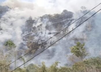 BNPB: Karhutla di Limapuluh Kota masih Terjadi, Pemadaman Dilanjutkan Hari Ini