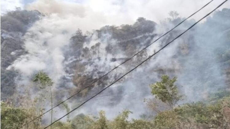Kebakaran hutan dan lahan (Karhutla) di Kabupaten Limapuluh Kota, Senin (23/6). (Foto: BNPB)