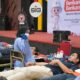 Donor darah PT Semen Padang. (dok. Humas)
