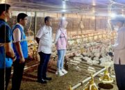 Sepanjang 2024, PLN Dorong Pertumbuhan Konsumsi Listrik hingga 17,78 TWh